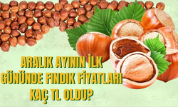 Aralık Ayının İlk Gününde Fındık Fiyatları Kaç TL Oldu?