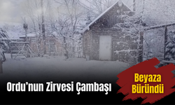Ordu’nun Zirvesi Çambaşı Beyaza Büründü