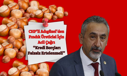 CHP’li Adıgüzel’den Fındık Üreticisi İçin Acil Çağrı