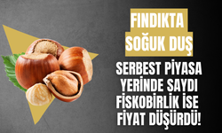 Fındıkta Soğuk Duş: Serbest Piyasa Yerinde Saydı, Fiskobirlik İse Fiyat Düşürdü!