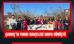 Çamaş’ta Fındık Bahçeleri Sınıfa Dönüştü