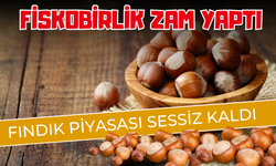 FİSKOBİRLİK Zam Yaptı, Fındık Piyasası Sessiz Kaldı