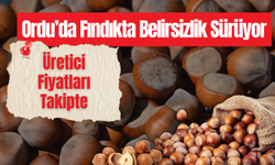 Ordu’da Fındıkta Belirsizlik Sürüyor: Üretici Fiyatları Takipte