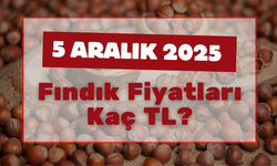 5 Aralık 2025 Fındık Fiyatları Kaç TL?