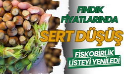 Fındık Fiyatlarında Sert Düşüş: Fiskobirlik Listeyi Yeniledi
