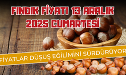 Fındık Fiyatı 13 Aralık 2025 Cumartesi