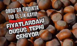 Ordu’da Fındıkta 110 TL’lik Kayıp: Fiyatlardaki Düşüş Tepki Çekiyor