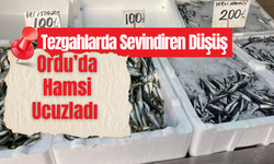 Ordu’da Hamsi Ucuzladı