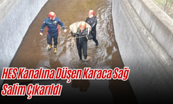 HES Kanalına Düşen Karaca Sağ Salim Çıkarıldı