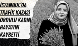 İstanbul’da Trafik Kazası: Ordulu Kadın Hayatını Kaybetti