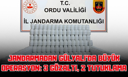 Jandarmadan Gülyalı’da Büyük Operasyon: 3 Gözaltı, 2 Tutuklama