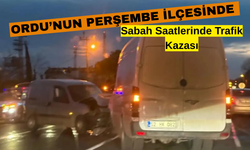 Ordu’nun Perşembe İlçesinde Sabah Saatlerinde Trafik Kazası