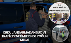Ordu Jandarmadan Suç ve Trafik Denetimlerinde Yoğun Mesai