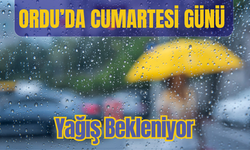 Ordu’da Cumartesi Günü Yağış Bekleniyor