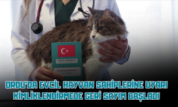Ordu’da Evcil Hayvan Sahiplerine Uyarı: Kimliklendirmede Geri Sayım Başladı