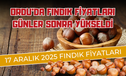 Ordu’da Fındık Fiyatları Günler Sonra Yükseldi