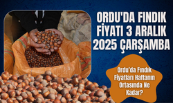 Ordu'da Fındık Fiyatı 3 Aralık 2025 Çarşamba