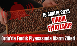 Ordu’da Fındık Piyasasında Alarm Zilleri