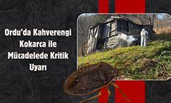 Ordu’da Kahverengi Kokarca ile Mücadelede Kritik Uyarı