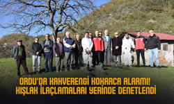 Ordu’da Kahverengi Kokarca Alarmı: Kışlak İlaçlamaları Yerinde Denetlendi