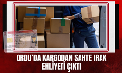Ordu’da Kargodan Sahte Irak Ehliyeti Çıktı
