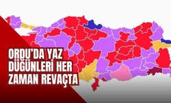 Ordulular En Çok Ne Zaman Evleniyor? 2024 Verileri Yaz Düğünlerinin Zirvede Olduğunu Gösterdi