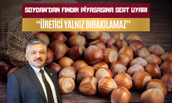 Soydan’dan Fındık Piyasasına Sert Uyarı: “Üretici Yalnız Bırakılamaz”