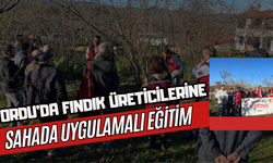 Ordu’da Fındık Üreticilerine Sahada Uygulamalı Eğitim