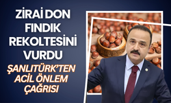 Zirai Don Fındık Rekoltesini Vurdu: Şanlıtürk’ten Acil Önlem Çağrısı
