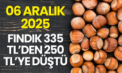 Serbest Piyasada Çöküş: Fındık 335 TL’den 250 TL’ye Düştü