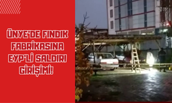 Ünye’de Fındık Fabrikasına EYP’li Saldırı Girişimi! Patlama Evin Bahçesinde Meydana Geldi