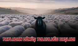 Yayladan Dönüş Yolculuğu Başladı