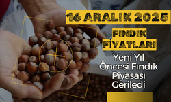Yeni Yıl Öncesi Fındık Piyasası Geriledi