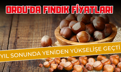Ordu’da Fındık Fiyatları Yıl Sonunda Yeniden Yükselişe Geçti