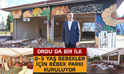Ordu’da Bir İlk: 0–3 Yaş Bebekler İçin Bebek Parkı Kuruluyor
