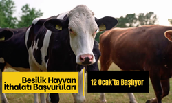 Besilik Hayvan İthalatı Başvuruları 12 Ocak’ta Başlıyor