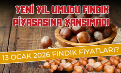 Yeni Yıl Umudu Fındık Piyasasına Yansımadı! 13 Ocak 2026 Fındık Fiyatları?