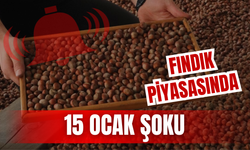 Fındık Piyasasında 15 Ocak Şoku