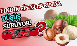 20 Ocak 2026 Fındık Fiyatları?
