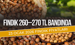 23 Ocak’ta Fındık 260–270 TL Bandında