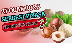 27 Ocak 2026 Fındık Fiyatları?