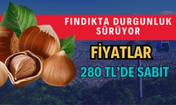 Fındıkta Durgunluk Sürüyor: Fiyatlar 280 TL’de Sabit