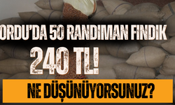 Ordu’da 50 Randıman Fındık 240 TL!