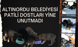 ALTINORDU BELEDİYESİ PATİLİ DOSTLARI YİNE UNUTMADI