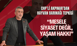 CHP’li Akpınar’dan Hayvan Barınağı Tepkisi: “Mesele Siyaset Değil, Yaşam Hakkı”