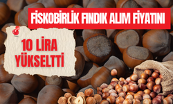 FİSKOBİRLİK FINDIK ALIM FİYATINI 10 LİRA YÜKSELTTİ
