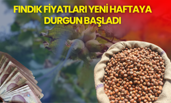 Fındık Fiyatları Yeni Haftaya Durgun Başladı