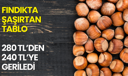 Fındıkta Şaşırtan Tablo: 280 TL’den 240 TL’ye Geriledi