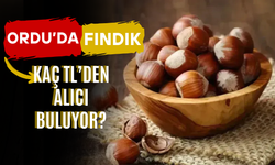 Ordu’da Kabuklu Fındık Kaç TL’den Alıcı Buluyor?