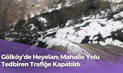 Gölköy’de Heyelan: Mahalle Yolu Tedbiren Trafiğe Kapatıldı